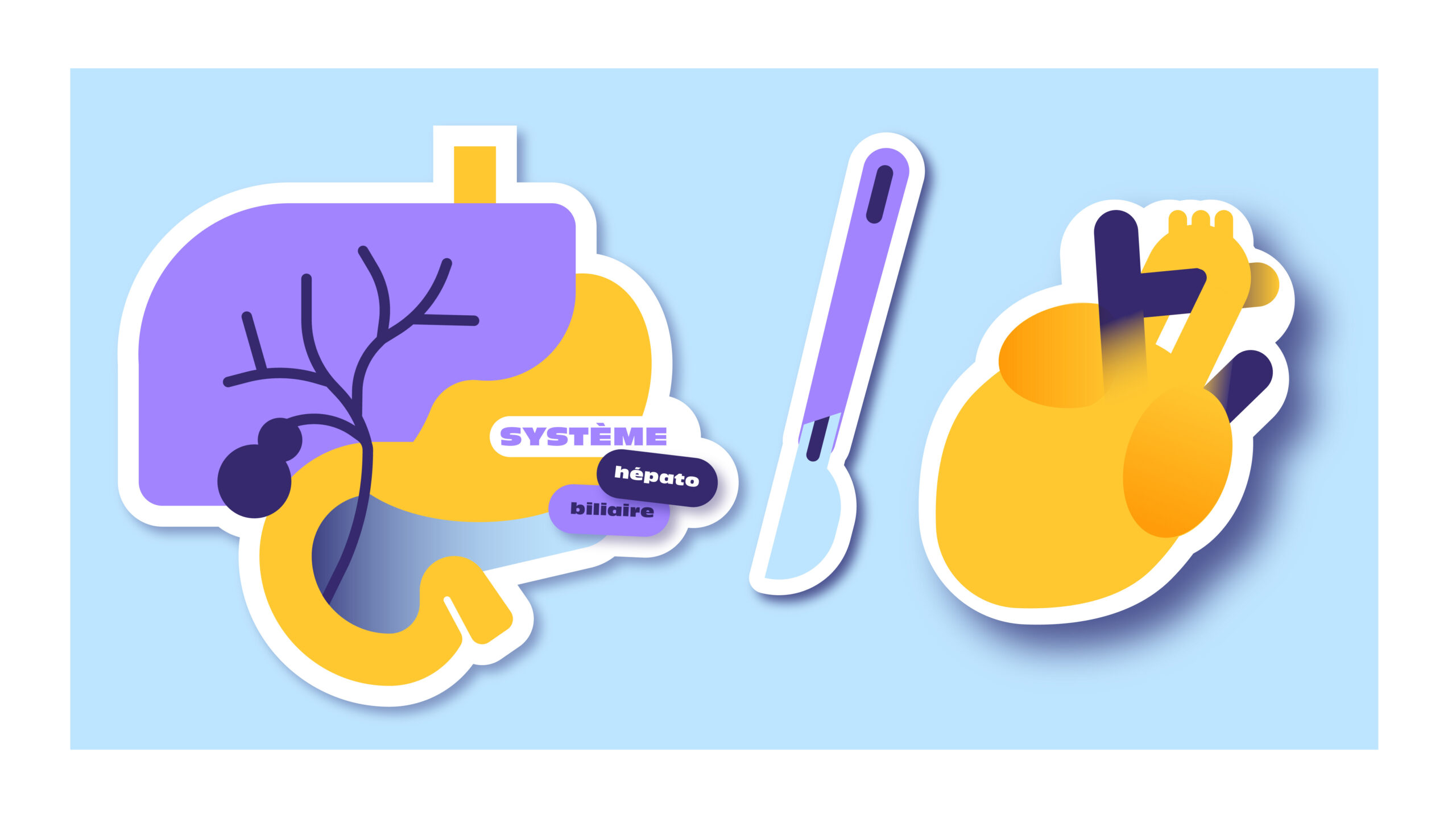 Organic and rounded shapes symbolizing digestive organs, used in a flexible and modular healthcare design system