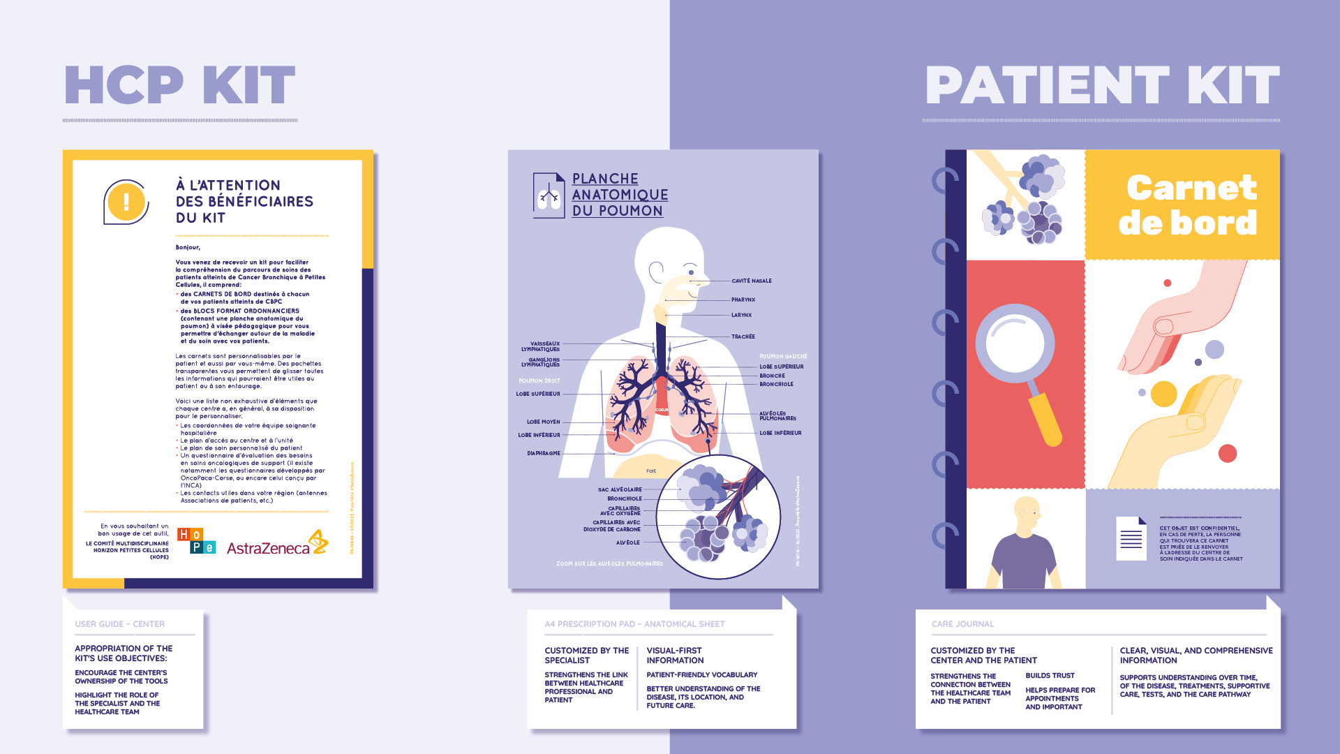 Visual toolkit components for SCLC patient education