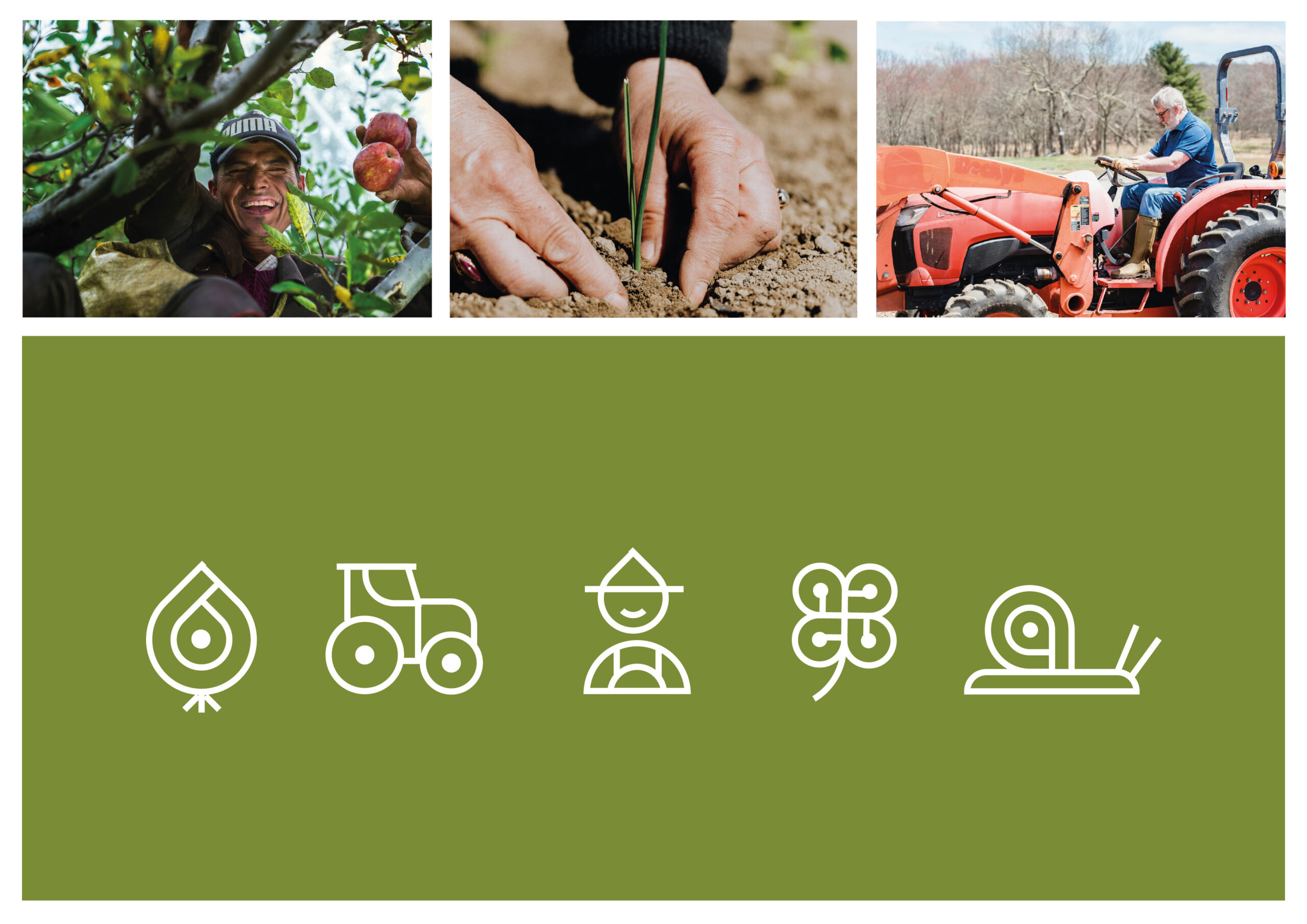 visual identity for the Celtic Interconnector – pictograms