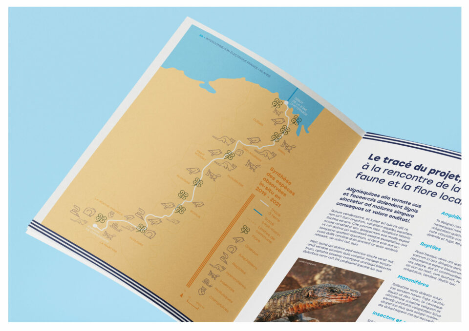 Extraits de l’identité visuelle du projet Celtic Interconnector : couleurs, motifs celtiques et pictogrammes