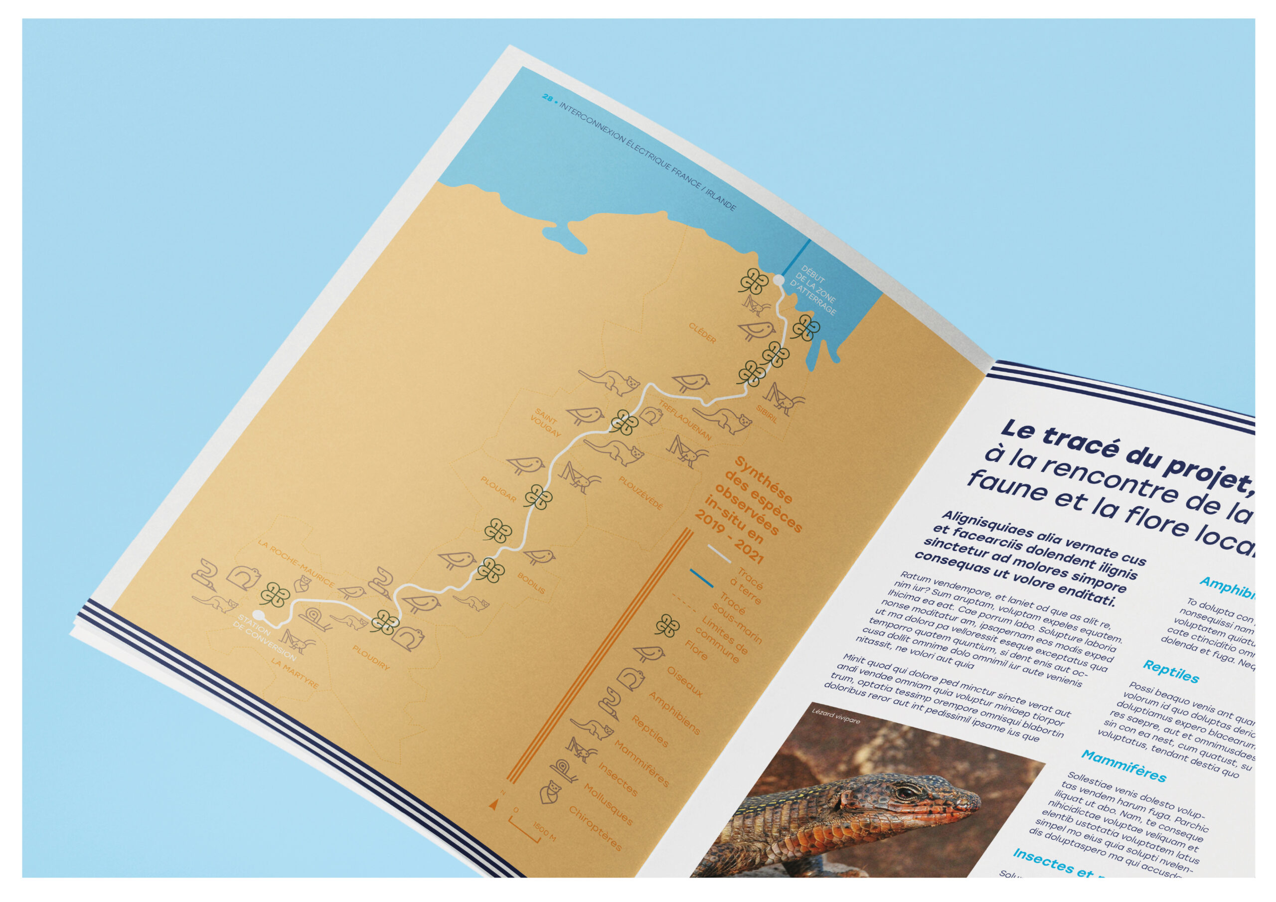 Extraits de l’identité visuelle du projet Celtic Interconnector : couleurs, motifs celtiques et pictogrammes