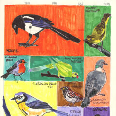 Graphic obsession – A monthly experimental sketchbook